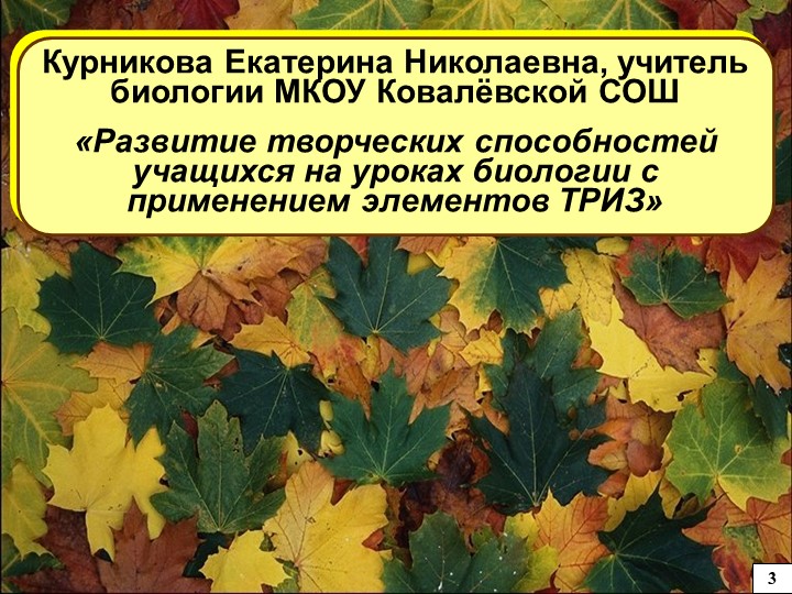 Презентация мастер-класса Теория РИЗ  - Скачать презентации бесплатно | Читать или скачать учебники для школы онлайн бесплатно ☑ Школьные учебники school-textbook.com