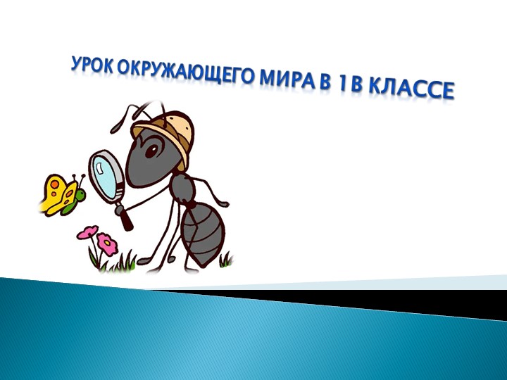 Презентация по окружающему миру "Все профессии важны" (1 класс) - Скачать презентации бесплатно | Читать или скачать учебники для школы онлайн бесплатно ☑ Школьные учебники school-textbook.com