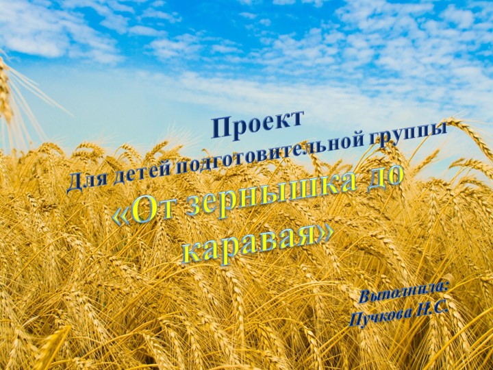 Проект "От зернышка до каравая" - Скачать презентации бесплатно | Читать или скачать учебники для школы онлайн бесплатно ☑ Школьные учебники school-textbook.com