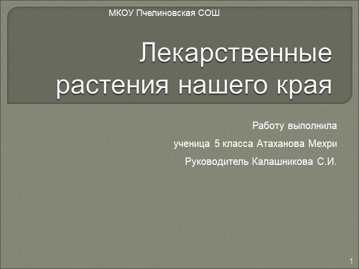 Презентация к проекту "Лекарственные растения нашего края" - Скачать презентации бесплатно | Читать или скачать учебники для школы онлайн бесплатно ☑ Школьные учебники school-textbook.com