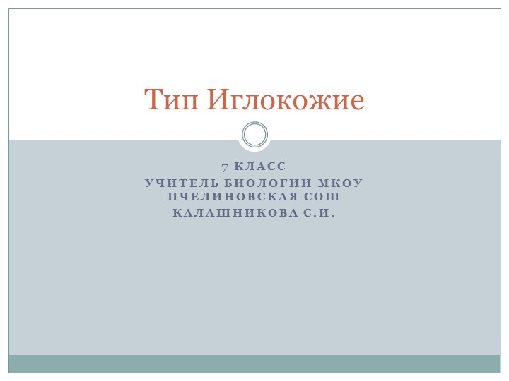 Презентация по биологии "Тип Иглокожие" (7 класс) - Скачать презентации бесплатно | Читать или скачать учебники для школы онлайн бесплатно ☑ Школьные учебники school-textbook.com