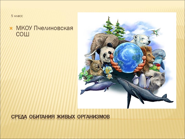 Презентация по биологии "Среды жизни" (5 класс) - Скачать презентации бесплатно | Читать или скачать учебники для школы онлайн бесплатно ☑ Школьные учебники school-textbook.com