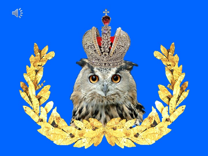 Презентация внеурочной деятельности "Что? Где? Когда?" 5-7 классы - Скачать презентации бесплатно | Читать или скачать учебники для школы онлайн бесплатно ☑ Школьные учебники school-textbook.com