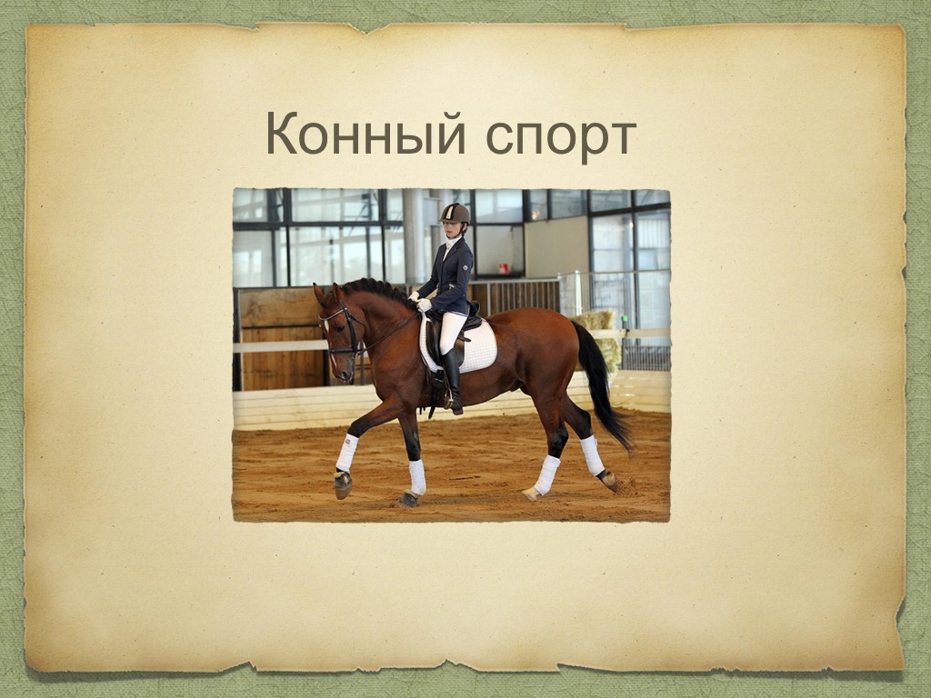 Презентация Внеурочная деятельность"Конный спорт" - Скачать презентации бесплатно | Читать или скачать учебники для школы онлайн бесплатно ☑ Школьные учебники school-textbook.com