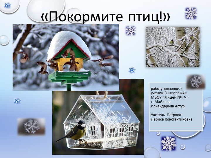 " Покормите птиц ". - Скачать презентации бесплатно | Читать или скачать учебники для школы онлайн бесплатно ☑ Школьные учебники school-textbook.com