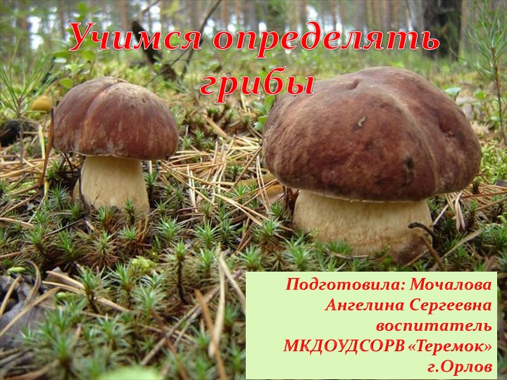 Презентация и дидактическая игра "Лесные грибы"  - Скачать презентации бесплатно | Читать или скачать учебники для школы онлайн бесплатно ☑ Школьные учебники school-textbook.com