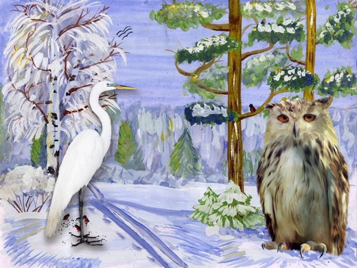 Дифференциация звуков [С]- [Ц] в слогах, словах. 2 класс - Скачать презентации бесплатно | Читать или скачать учебники для школы онлайн бесплатно ☑ Школьные учебники school-textbook.com