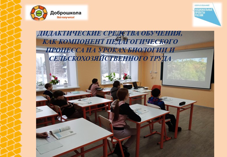 ДИДАКТИЧЕСКИЕ СРЕДСТВА ОБУЧЕНИЯ, КАК КОМПОНЕНТ ПЕДАГОГИЧЕСКОГО ПРОЦЕССА НА УРОКАХ БИОЛОГИИ И СЕЛЬСКОХОЗЯЙСТВЕННОГО ТРУДА  - Скачать презентации бесплатно | Читать или скачать учебники для школы онлайн бесплатно ☑ Школьные учебники school-textbook.com