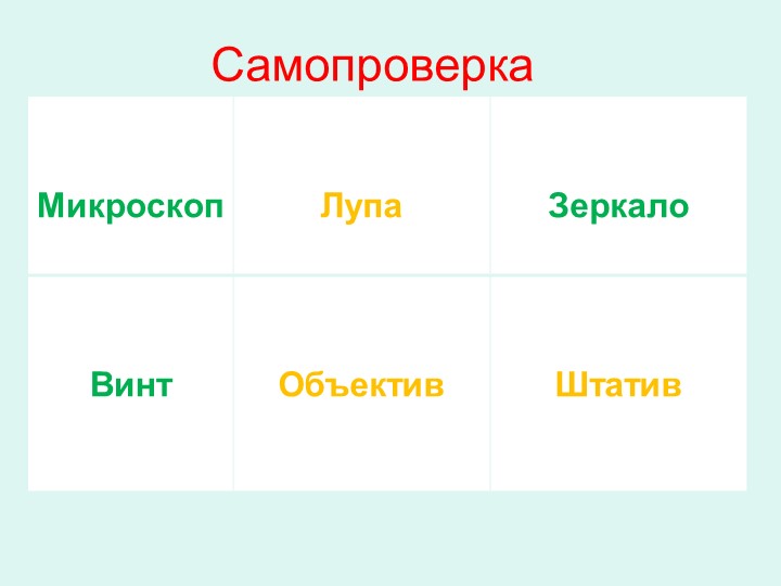 Презентация, " Строение клетки" - Скачать презентации бесплатно | Читать или скачать учебники для школы онлайн бесплатно ☑ Школьные учебники school-textbook.com