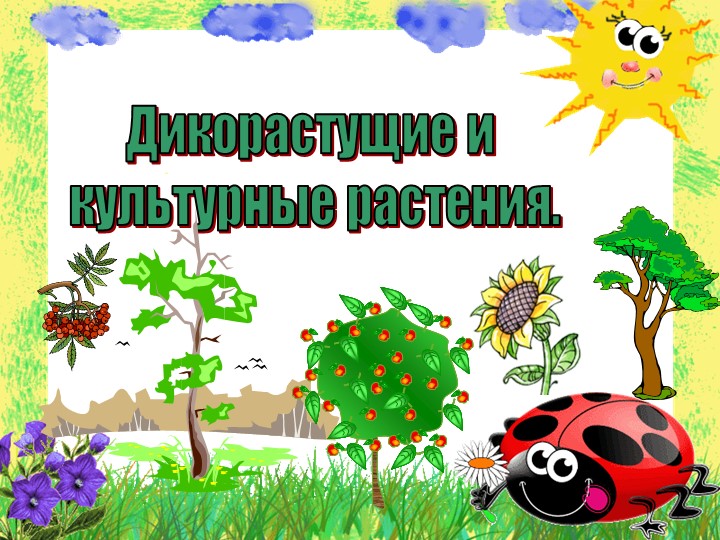 Презентация на тему "Дикорастущие и культурные растения" - Скачать презентации бесплатно | Читать или скачать учебники для школы онлайн бесплатно ☑ Школьные учебники school-textbook.com