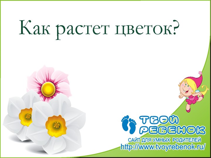 Презентация "Как растет цветок" - Скачать презентации бесплатно | Читать или скачать учебники для школы онлайн бесплатно ☑ Школьные учебники school-textbook.com