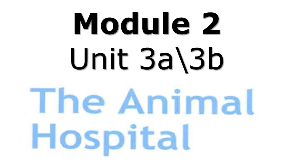 Презентация по английскому языку "Animal hospital" 4 класс  - Скачать презентации бесплатно | Читать или скачать учебники для школы онлайн бесплатно ☑ Школьные учебники school-textbook.com