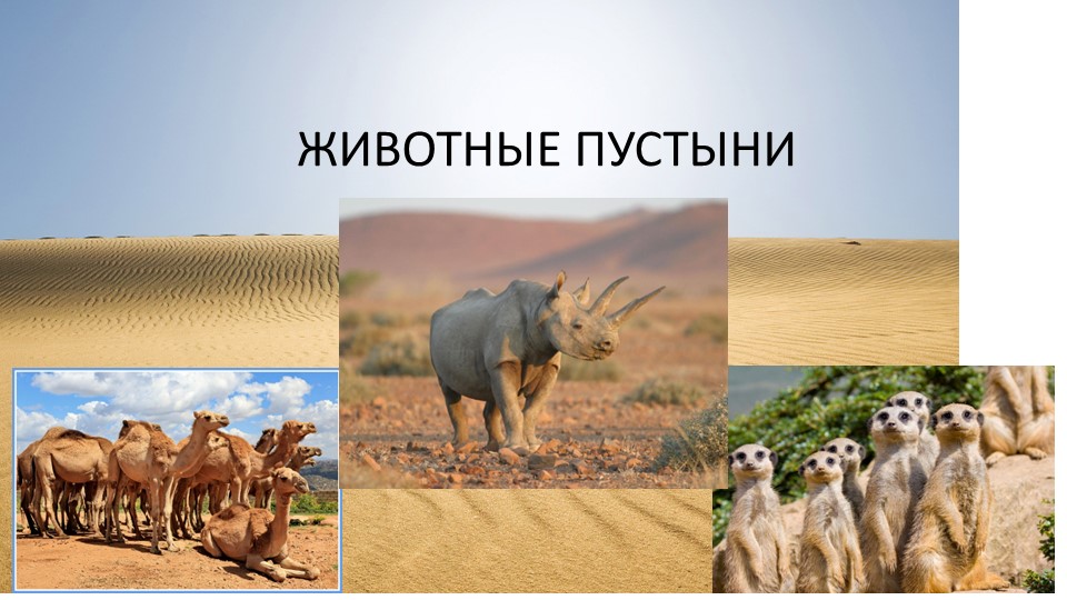 Презентация о животных пустыни для подготовительной группы - Скачать презентации бесплатно | Читать или скачать учебники для школы онлайн бесплатно ☑ Школьные учебники school-textbook.com