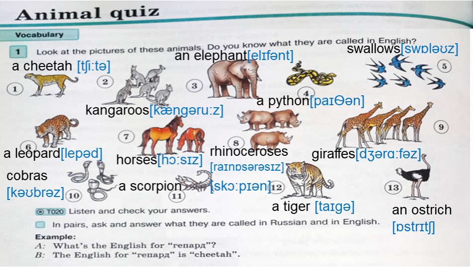 Презентация по английскому языку 7 класс "Animal quiz"  - Скачать презентации бесплатно | Читать или скачать учебники для школы онлайн бесплатно ☑ Школьные учебники school-textbook.com