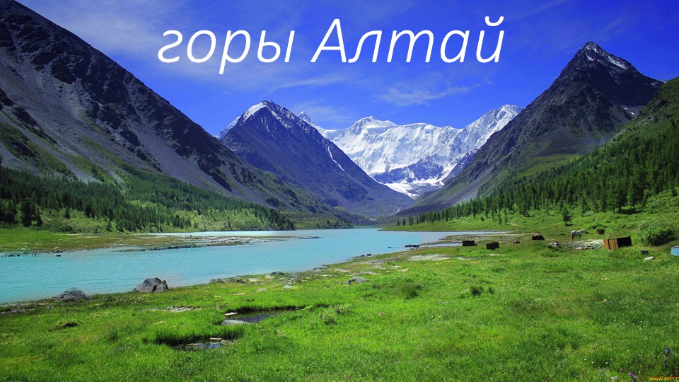 Проект по окружающему миру - Скачать презентации бесплатно | Читать или скачать учебники для школы онлайн бесплатно ☑ Школьные учебники school-textbook.com