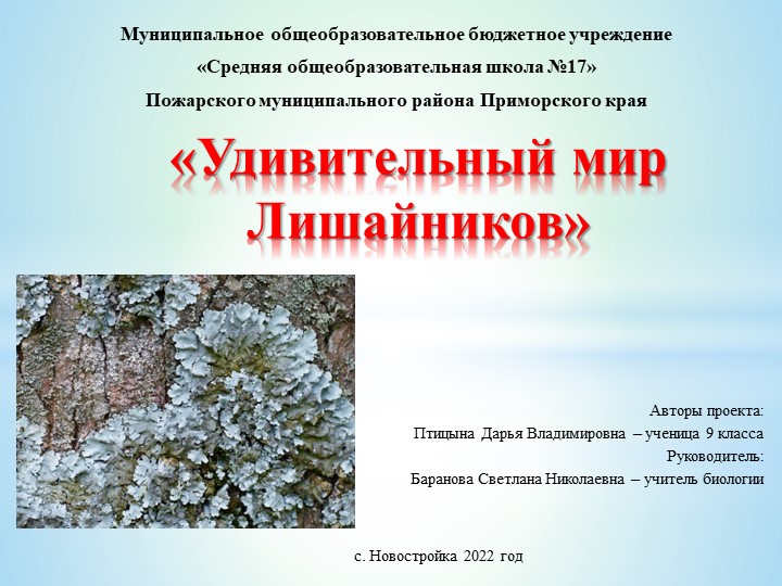 Индивидуальный проект 9 класс  - Скачать презентации бесплатно | Читать или скачать учебники для школы онлайн бесплатно ☑ Школьные учебники school-textbook.com