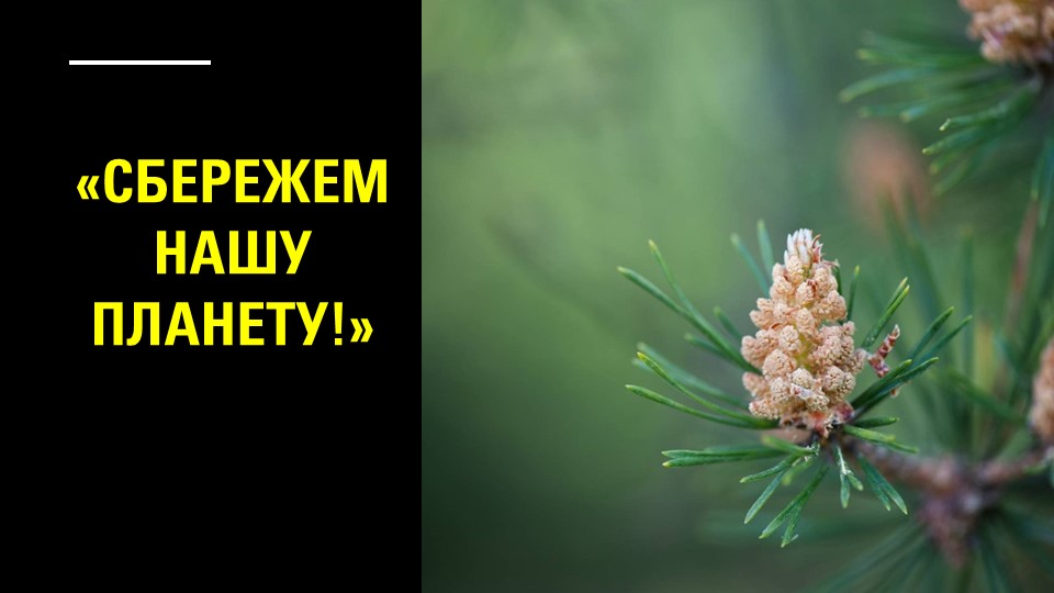 Час общения "Сбережем нашу планету!" - Скачать презентации бесплатно | Читать или скачать учебники для школы онлайн бесплатно ☑ Школьные учебники school-textbook.com