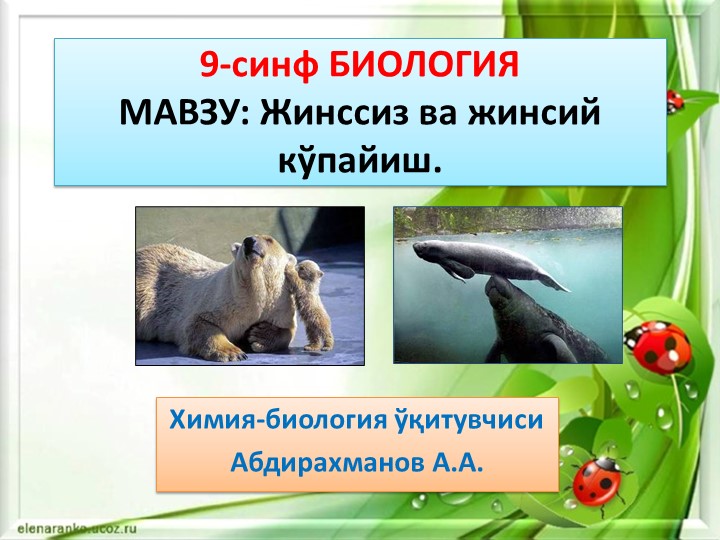 Презентация "ЖИНСИЙ ВА ЖИНССИЗ купайиш" 9-синф Биология  - Скачать презентации бесплатно | Читать или скачать учебники для школы онлайн бесплатно ☑ Школьные учебники school-textbook.com