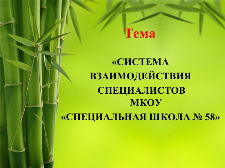 Система взаимодействия специалистов в психолого-педагогическом и медико-социальном сопровождении обучающихся с интеллектуальными нарушениями - Скачать презентации бесплатно | Читать или скачать учебники для школы онлайн бесплатно ☑ Школьные учебники school-textbook.com