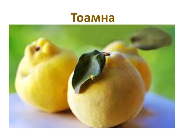 Презентация к открытому уроку "Осень" - Скачать презентации бесплатно | Читать или скачать учебники для школы онлайн бесплатно ☑ Школьные учебники school-textbook.com