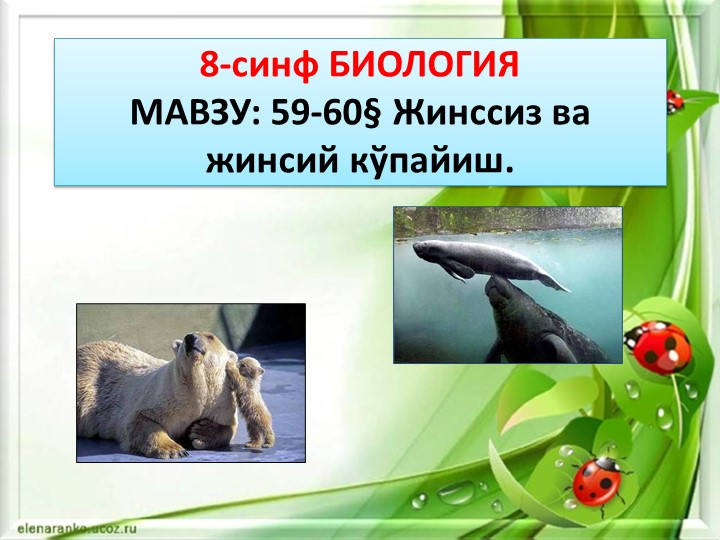 Презентация "Жинссиз ва жинсий кўпайиш" 8-синф Биология - Скачать презентации бесплатно | Читать или скачать учебники для школы онлайн бесплатно ☑ Школьные учебники school-textbook.com