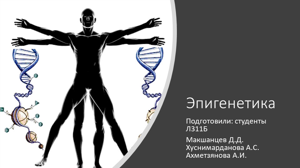 Презентация на тему: "Эпигенетика" - Скачать презентации бесплатно | Читать или скачать учебники для школы онлайн бесплатно ☑ Школьные учебники school-textbook.com