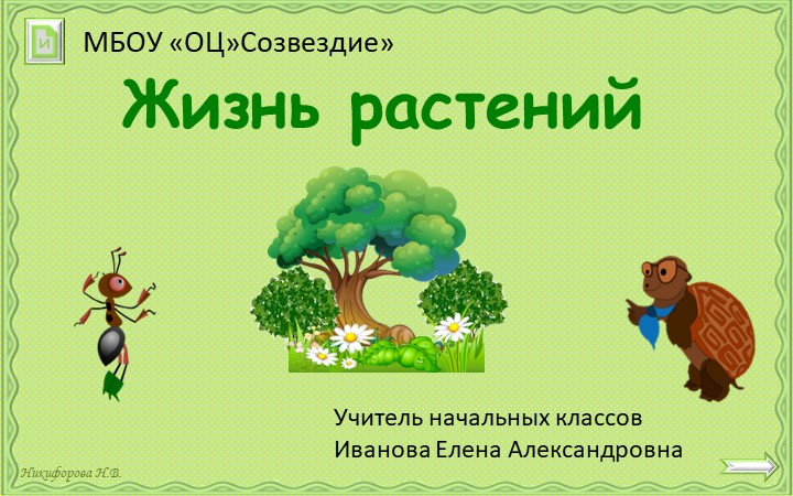 Презентация по окружающему миру на тему "Жизнь растений" 2 класс - Скачать презентации бесплатно | Читать или скачать учебники для школы онлайн бесплатно ☑ Школьные учебники school-textbook.com