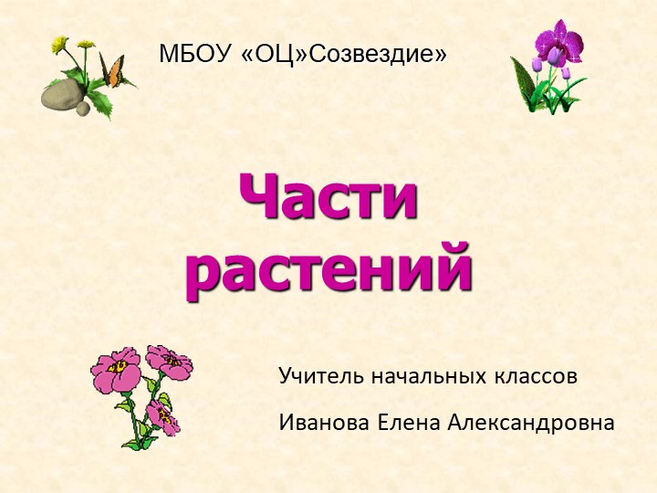 Презентация по окружающему миру на тему "Части растений" 2 класс - Скачать презентации бесплатно | Читать или скачать учебники для школы онлайн бесплатно ☑ Школьные учебники school-textbook.com