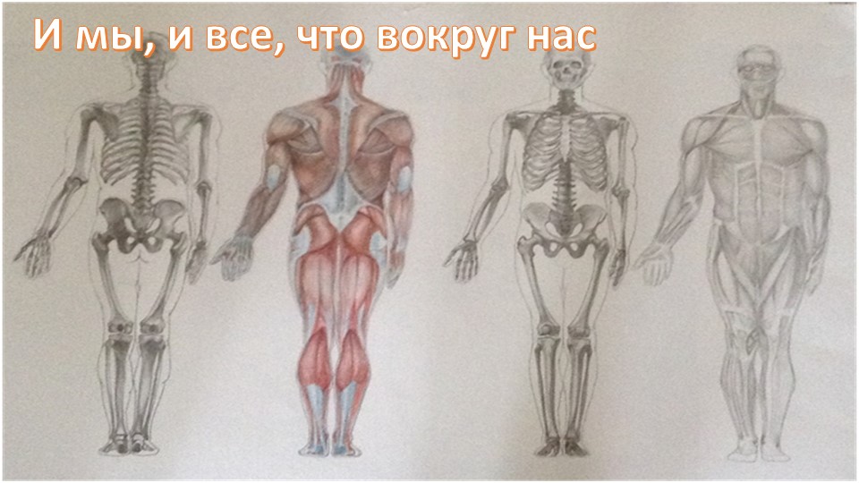 Игра-викторина "И мы, и все, что вокруг нас" - Скачать презентации бесплатно | Читать или скачать учебники для школы онлайн бесплатно ☑ Школьные учебники school-textbook.com