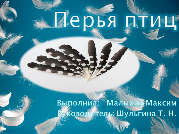 Презентация по обществознанию на тему " Перья". - Скачать презентации бесплатно | Читать или скачать учебники для школы онлайн бесплатно ☑ Школьные учебники school-textbook.com