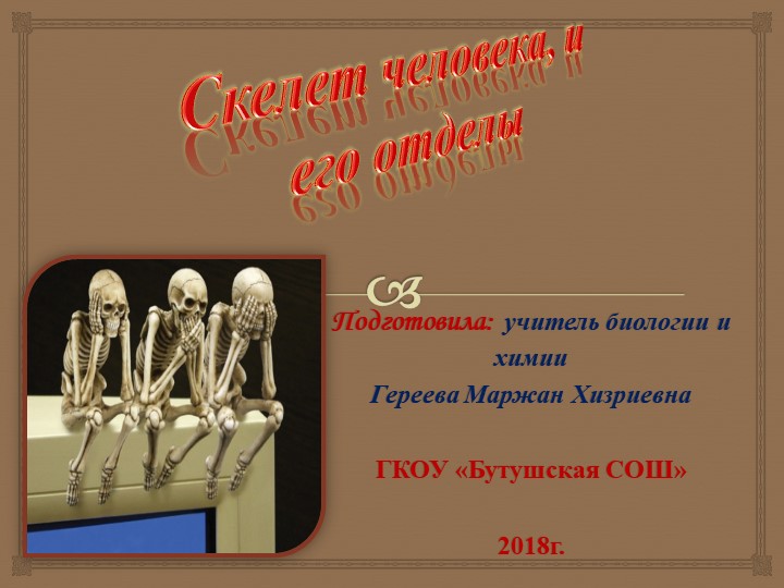 Урок на "Скелет человека" - Скачать презентации бесплатно | Читать или скачать учебники для школы онлайн бесплатно ☑ Школьные учебники school-textbook.com