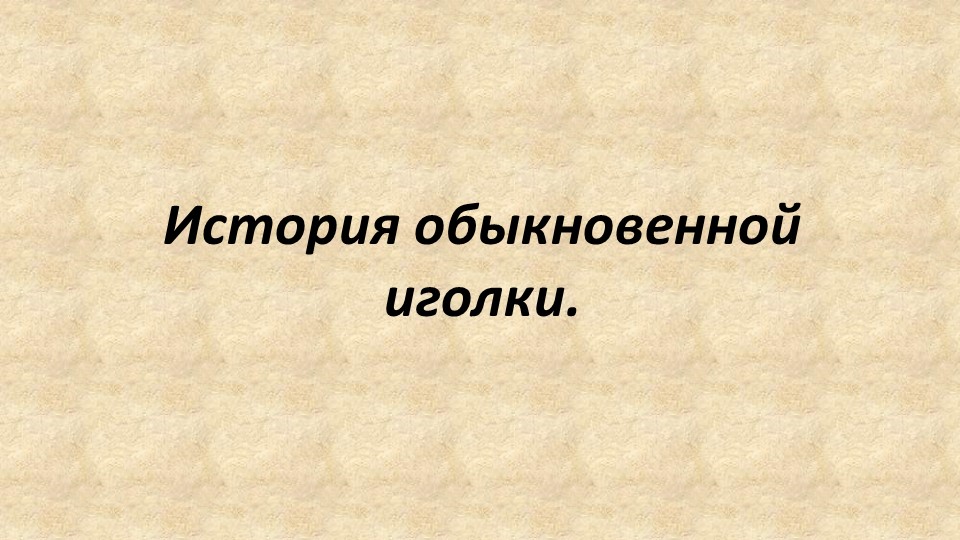 Презентация "История обыкновенной иголки" - Скачать презентации бесплатно | Читать или скачать учебники для школы онлайн бесплатно ☑ Школьные учебники school-textbook.com