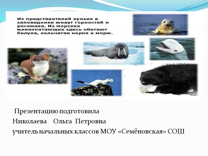 Презентация "Таймырский заповедник" 4 класс - Скачать презентации бесплатно | Читать или скачать учебники для школы онлайн бесплатно ☑ Школьные учебники school-textbook.com