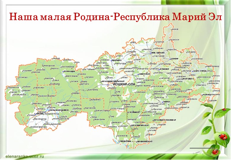 Презентация к уроку биологии в 8 классе. - Скачать презентации бесплатно | Читать или скачать учебники для школы онлайн бесплатно ☑ Школьные учебники school-textbook.com