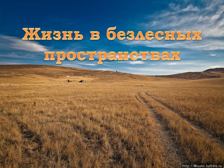 Презентация по географии на тему "Жизнь в безлесных пространствах" (6 класс) - Скачать презентации бесплатно | Читать или скачать учебники для школы онлайн бесплатно ☑ Школьные учебники school-textbook.com