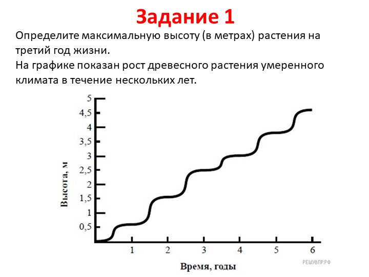 Презентация по биологии на тему "Описание результатов исследований" (5 класс) - Скачать презентации бесплатно | Читать или скачать учебники для школы онлайн бесплатно ☑ Школьные учебники school-textbook.com