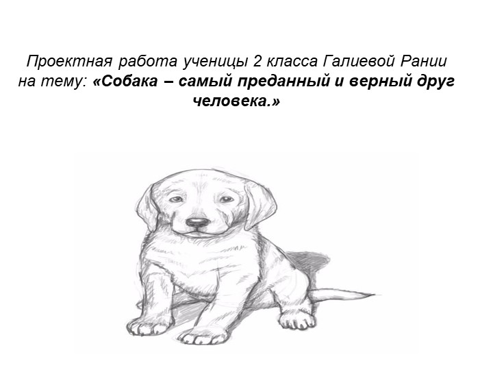 Проектная работа " Моя собака"  - Скачать презентации бесплатно | Читать или скачать учебники для школы онлайн бесплатно ☑ Школьные учебники school-textbook.com