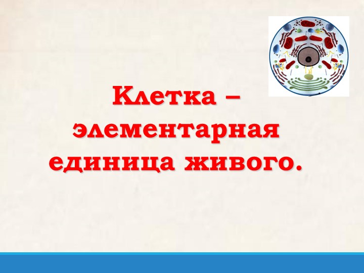 Презентация по биологии на тему:"Клетка-единица всего живого. Плазматическая мембрана"  - Скачать презентации бесплатно | Читать или скачать учебники для школы онлайн бесплатно ☑ Школьные учебники school-textbook.com
