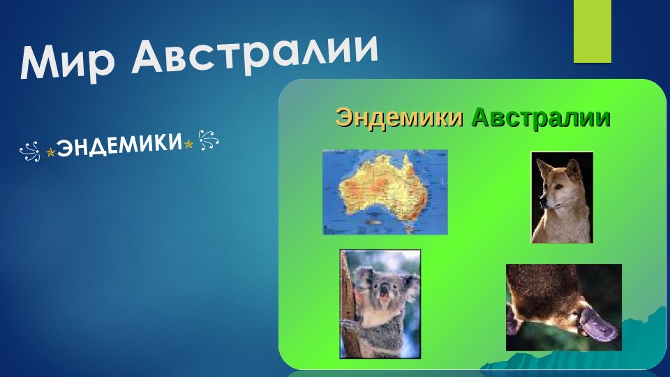 Презентация по географии "Эндемики Австралии" ( 7 класс) - Скачать презентации бесплатно | Читать или скачать учебники для школы онлайн бесплатно ☑ Школьные учебники school-textbook.com