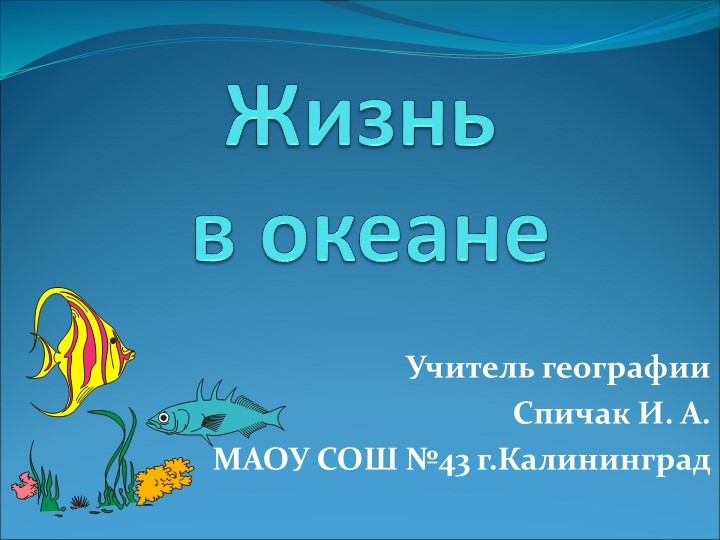 Презентация по географии "Жизнь в океане" ( 7 класс) - Скачать презентации бесплатно | Читать или скачать учебники для школы онлайн бесплатно ☑ Школьные учебники school-textbook.com