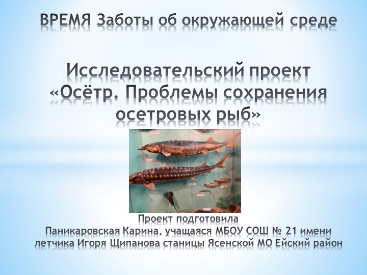 Исследовательский проект на тему: "Осётр. проблемы сохранения осетровых рыб" - Скачать презентации бесплатно | Читать или скачать учебники для школы онлайн бесплатно ☑ Школьные учебники school-textbook.com