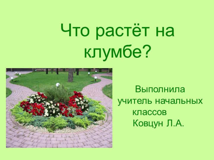Презентация по окружающему миру на тему: "Что растёт на клумбе?" (1 класс)  - Скачать презентации бесплатно | Читать или скачать учебники для школы онлайн бесплатно ☑ Школьные учебники school-textbook.com