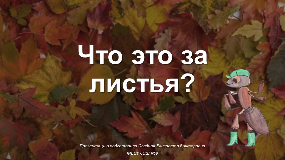 Презентация по окружающему миру на тему "Что это за листья" (1 класс) - Скачать презентации бесплатно | Читать или скачать учебники для школы онлайн бесплатно ☑ Школьные учебники school-textbook.com