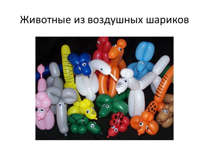 Презентация по внеурочной деятельности на тему:" Животные из воздушных шариков" - Скачать презентации бесплатно | Читать или скачать учебники для школы онлайн бесплатно ☑ Школьные учебники school-textbook.com