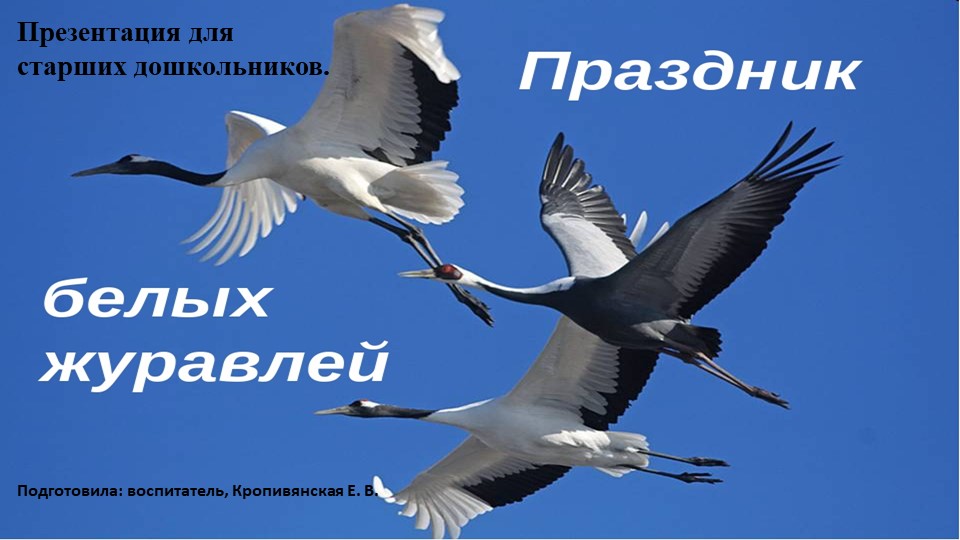 Презентация к мероприятию, посвященному Празднику белых журавлей 22 октября. Для старших дошкольников.  - Скачать презентации бесплатно | Читать или скачать учебники для школы онлайн бесплатно ☑ Школьные учебники school-textbook.com