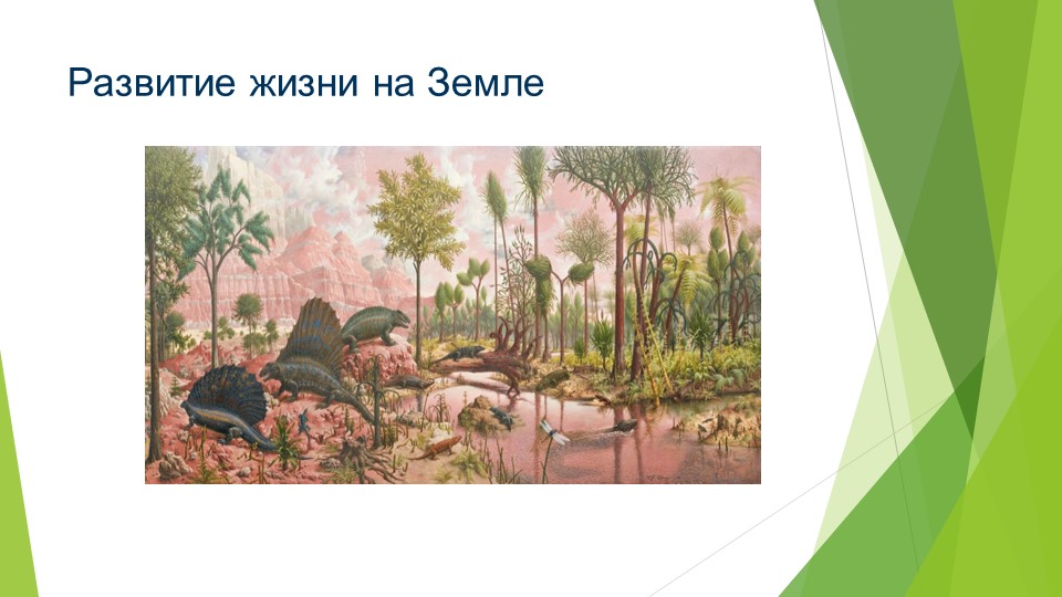 Презентация: "Эволюция жизни на Земле"  - Скачать презентации бесплатно | Читать или скачать учебники для школы онлайн бесплатно ☑ Школьные учебники school-textbook.com
