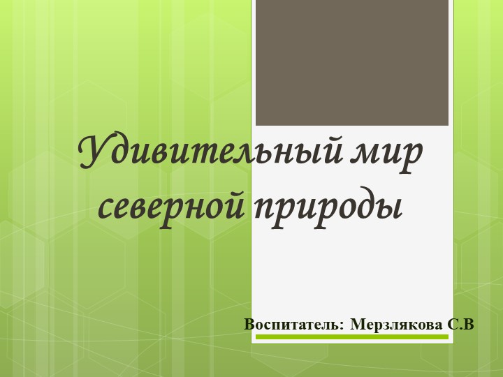 Презентация на тему "Удивительный мир Северной природы" старшая группа - Скачать презентации бесплатно | Читать или скачать учебники для школы онлайн бесплатно ☑ Школьные учебники school-textbook.com