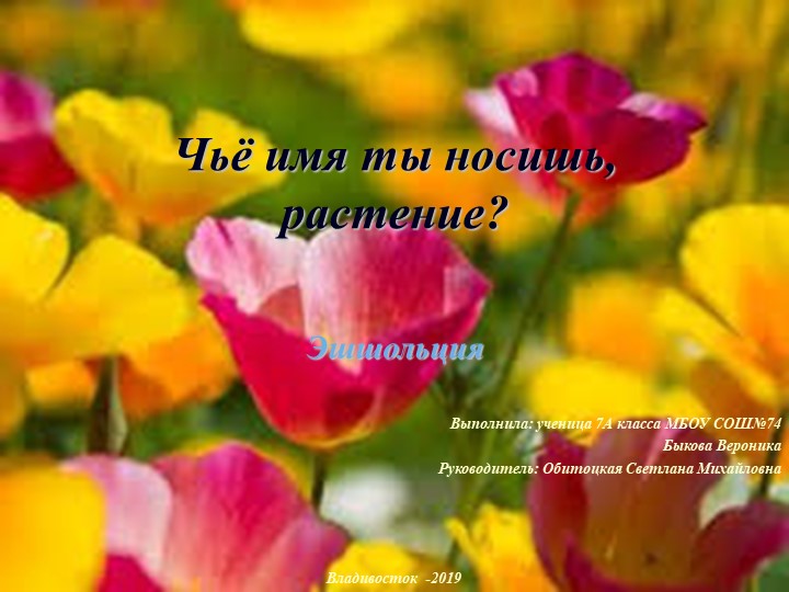 Презентация по биологии на тему "Природные сообщества" 6 - Скачать презентации бесплатно | Читать или скачать учебники для школы онлайн бесплатно ☑ Школьные учебники school-textbook.com