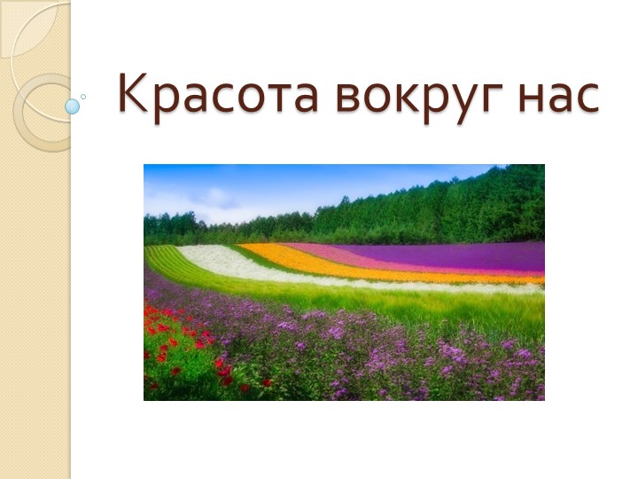 Презентация к уроку "Растения" , " Красота вокруг нас" - Скачать презентации бесплатно | Читать или скачать учебники для школы онлайн бесплатно ☑ Школьные учебники school-textbook.com