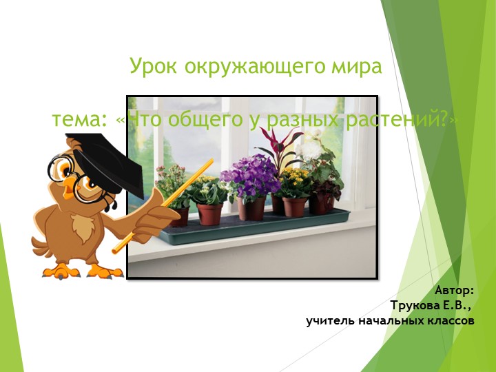 Презентация по окружающему миру:"Что растет на подоконнике?"  - Скачать презентации бесплатно | Читать или скачать учебники для школы онлайн бесплатно ☑ Школьные учебники school-textbook.com